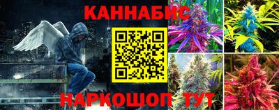 МДПВ Гатчина