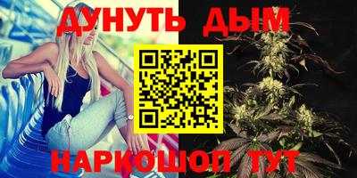 дживик Гай