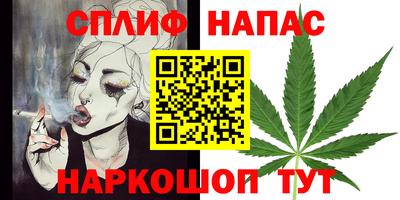 МДПВ Гатчина