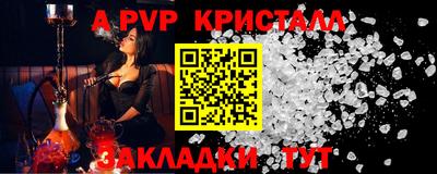 дживик Гай