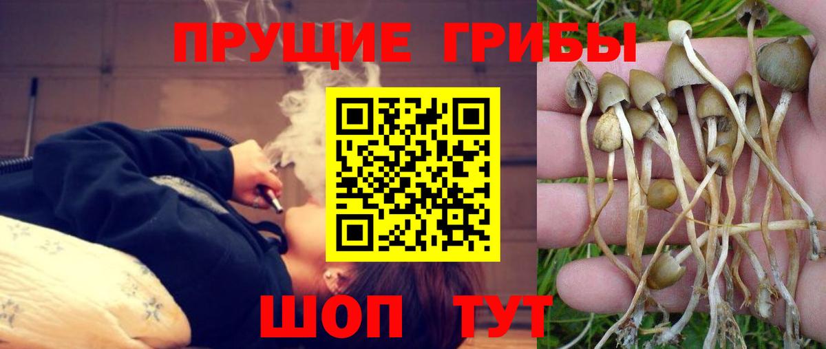 Галлюциногенные грибы мухоморы Нефтекамск